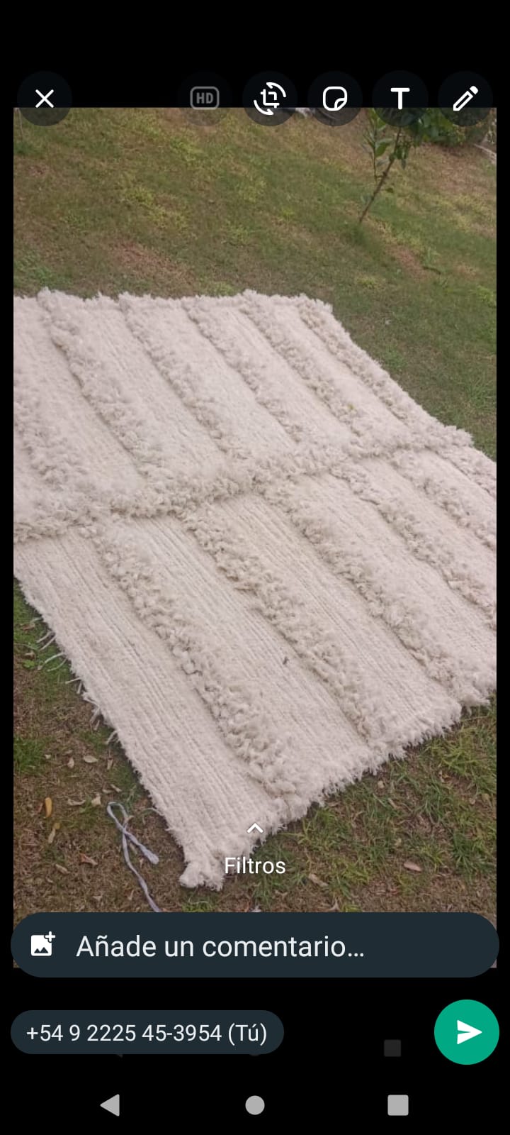 alfombra - Pablo Sebastian Haritchabalet.jpg